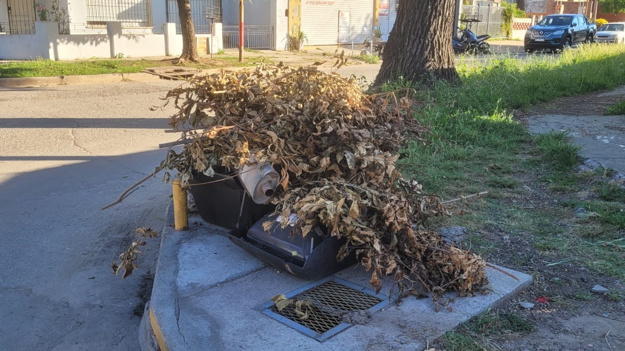 Basura y restos de poda: de quién es la responsabilidad y qué se paga por desecharlos | FM Avenida