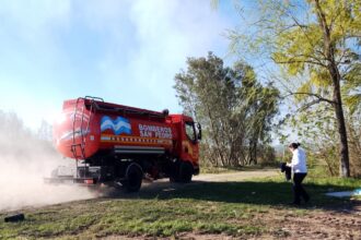 Bomberos de San Pedro y Santa Lucía trabajaron en incendio de grandes proporciones en una reserva forestal de Ramallo | FM Avenida