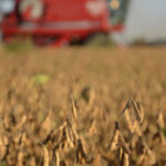 Brecha impositiva y pérdida de competitividad frente a Brasil y Uruguay: el agro argentino paga hasta 70% de su renta al Estado | FM Avenida