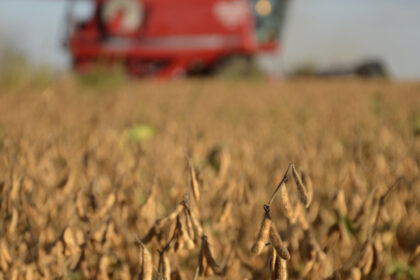 Brecha impositiva y pérdida de competitividad frente a Brasil y Uruguay: el agro argentino paga hasta 70% de su renta al Estado | FM Avenida