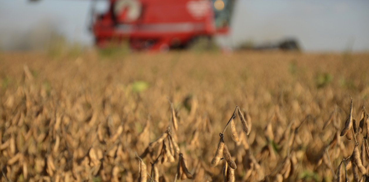 Brecha impositiva y pérdida de competitividad frente a Brasil y Uruguay: el agro argentino paga hasta 70% de su renta al Estado | FM Avenida