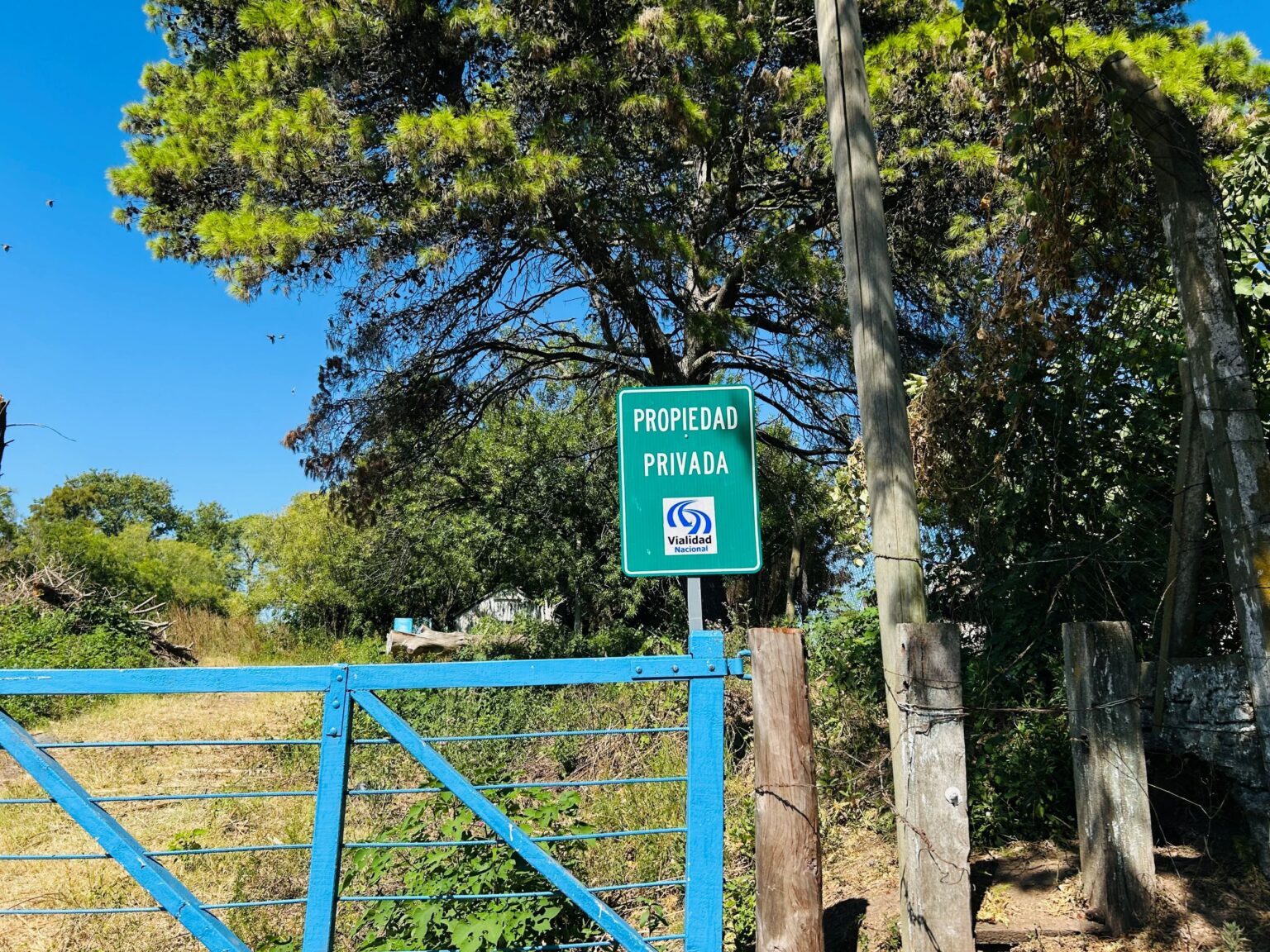 Campamento de Vialidad: la empresa Bañados del Tala hizo una propuesta para comprar el predio | FM Avenida