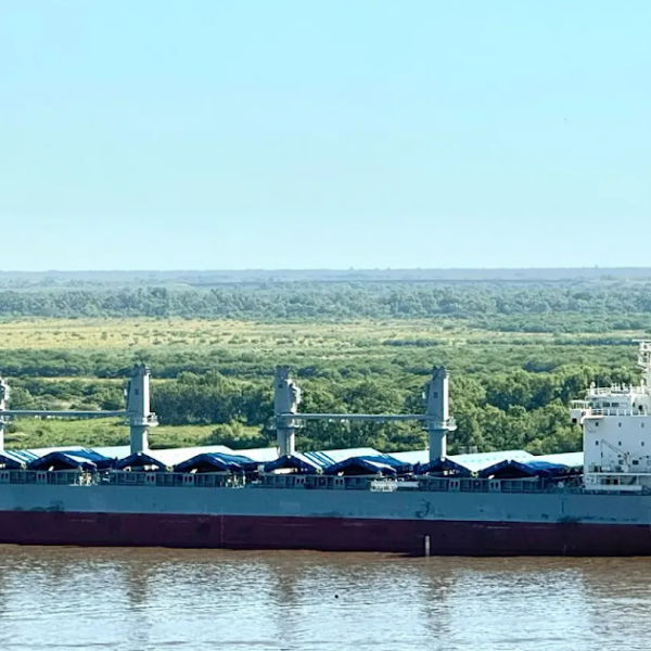 Cargan más de 10 mil toneladas de porotos en el puerto con destino a Venezuela | FM Avenida