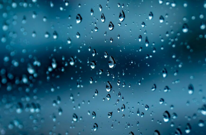 Clima hoy en Chivilcoy, Buenos Aires: el pronóstico del tiempo para este miércoles 2 septiembre de 2026 | FM Avenida