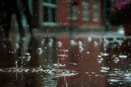 Clima hoy en Punta Lara, Buenos Aires: el pronóstico del tiempo para este domingo 15 febrero de 2026 | FM Avenida