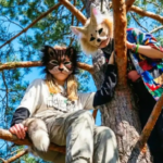 “Estamos en el horno” vs. “No molestan a nadie”: la discusión que abrió debate sobre los Therians en San Pedro | FM Avenida