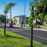 Impulsan un nuevo plan de arbolado público que incluye una aplicación digital para los vecinos y prioridad para los viveros locales | FM Avenida