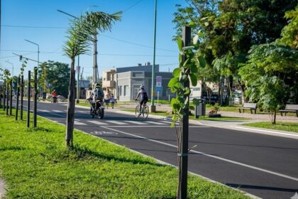 Impulsan un nuevo plan de arbolado público que incluye una aplicación digital para los vecinos y prioridad para los viveros locales | FM Avenida