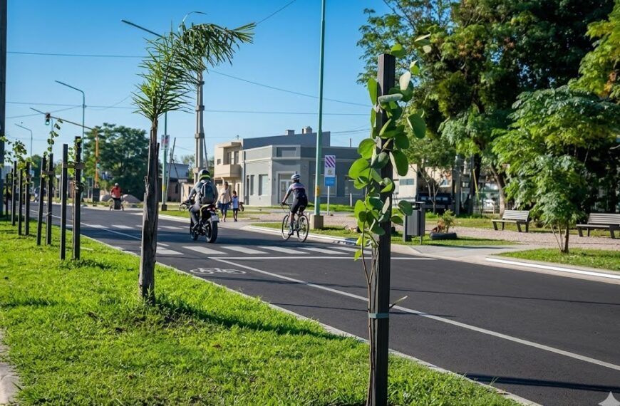 Impulsan un nuevo plan de arbolado público que incluye una aplicación digital para los vecinos y prioridad para los viveros locales | FM Avenida