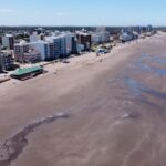 Indignante: Pareja sacó un pingüino del mar para tomarse fotografías en Monte Hermoso | FM Avenida