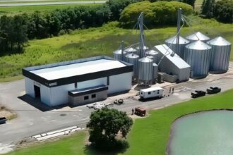 Inversión millonaria y apuesta a futuro: avanza la construcción de una planta aceitera en San Pedro | FM Avenida