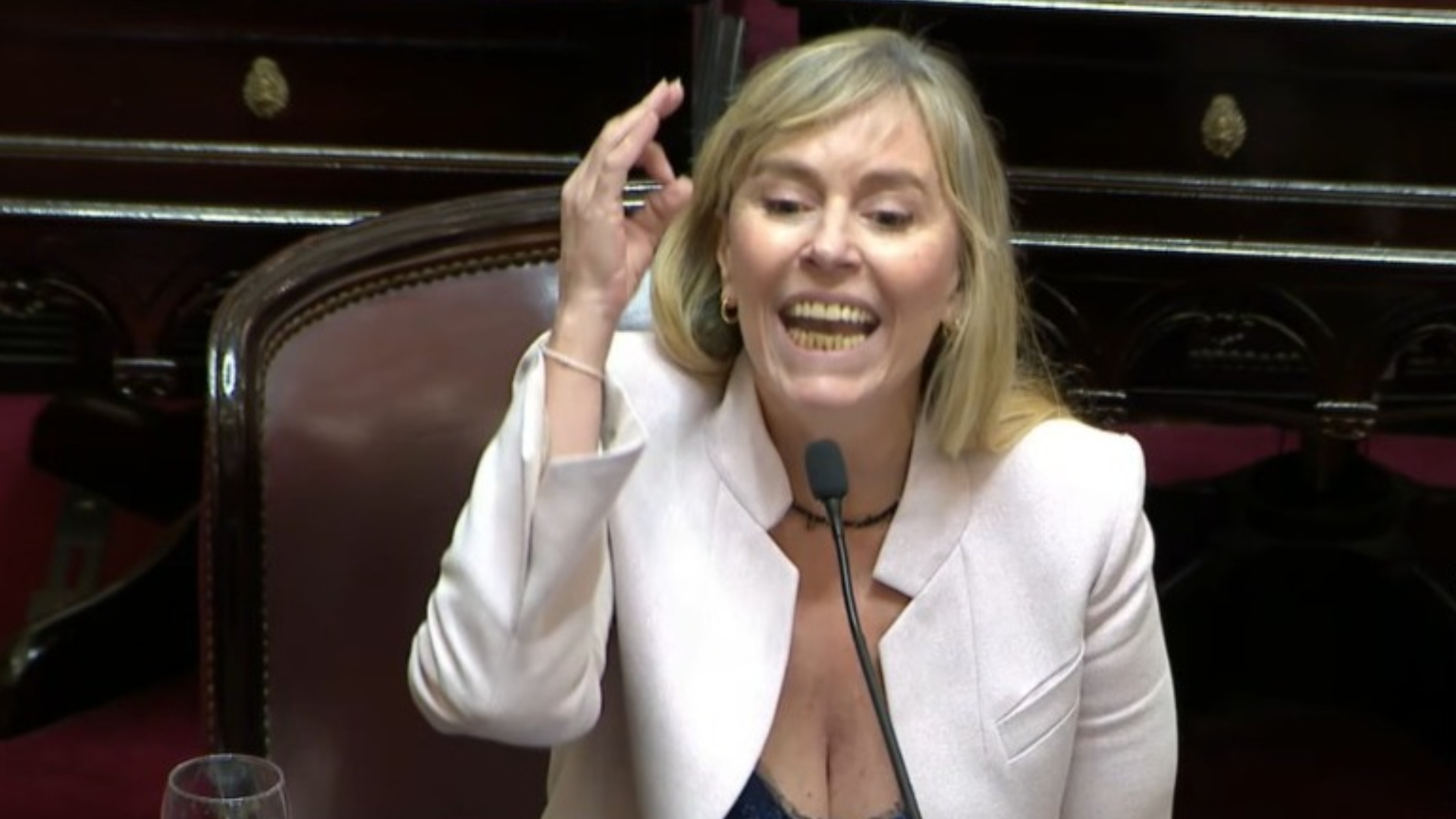 Juliana Di Tullio explotó en el Senado y advirtió que con la reforma laboral "le cagan la vida a los trabajadores" | FM Avenida
