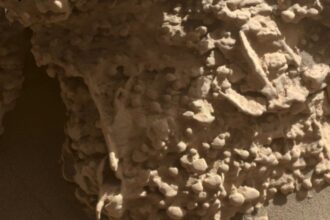 La NASA halló en Marte “telarañas” rocosas con forma de huevo que desconciertan a la Ciencia | FM Avenida