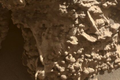 La NASA halló en Marte “telarañas” rocosas con forma de huevo que desconciertan a la Ciencia | FM Avenida