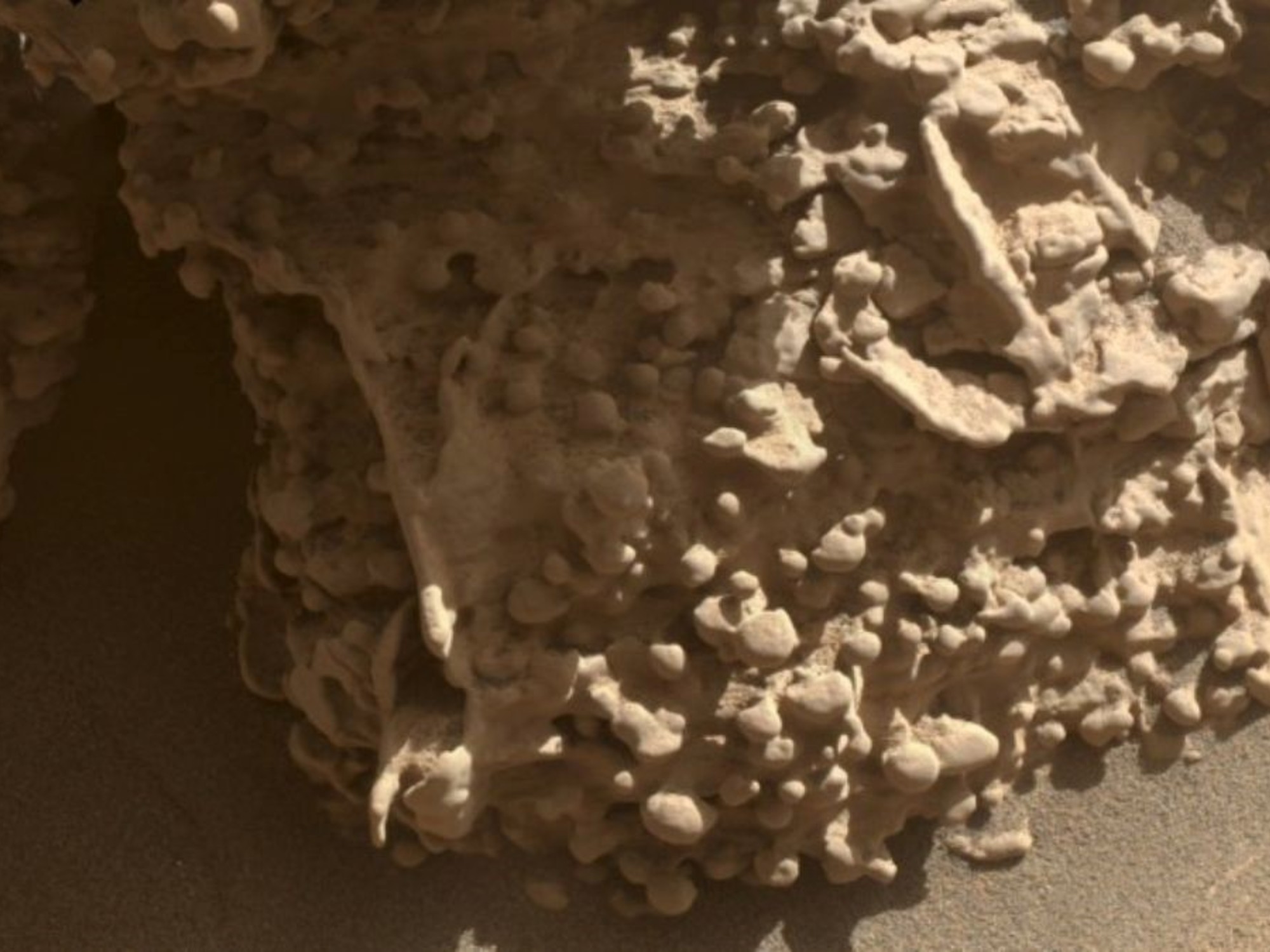 La NASA halló en Marte “telarañas” rocosas con forma de huevo que desconciertan a la Ciencia | FM Avenida