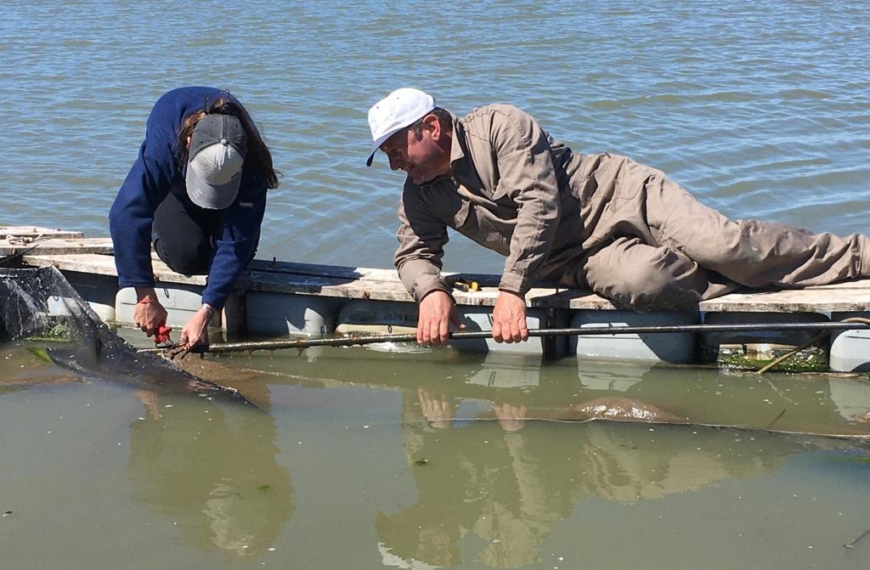 La Provincia impulsa un proyecto para repoblar con pejerrey las lagunas bonaerenses y fortalecer la pesca deportiva | FM Avenida