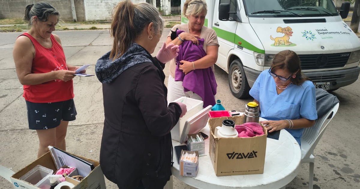 Nueva jornada de vacunación gratuita para mascotas | FM Avenida