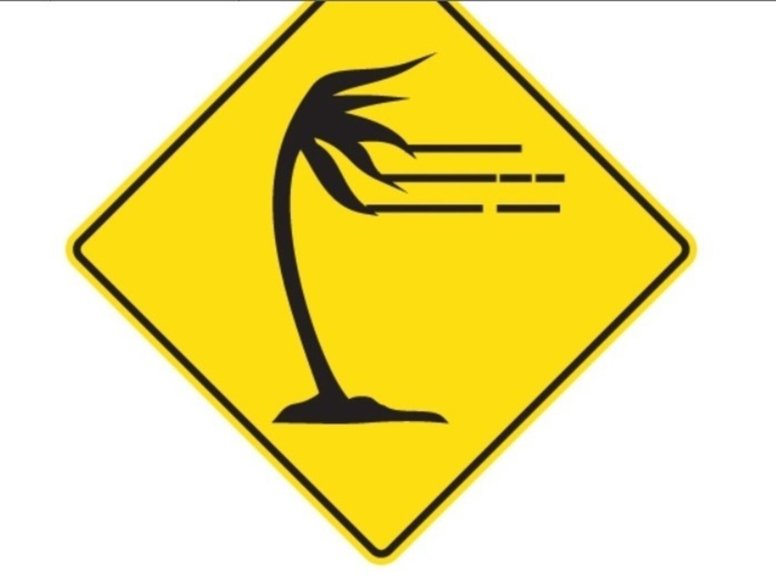 Qué significa esta nueva señal de tránsito con una palmera sobre un fondo amarillo | FM Avenida