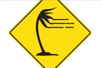 Qué significa esta nueva señal de tránsito con una palmera sobre un fondo amarillo | FM Avenida