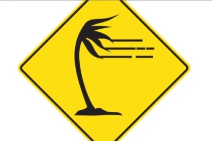 Qué significa esta nueva señal de tránsito con una palmera sobre un fondo amarillo | FM Avenida