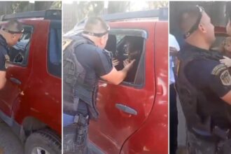 Rescatan a un nene de dos años del interior de una camioneta en Pilar: lo dejaron encerrado para hacer unas compras | FM Avenida