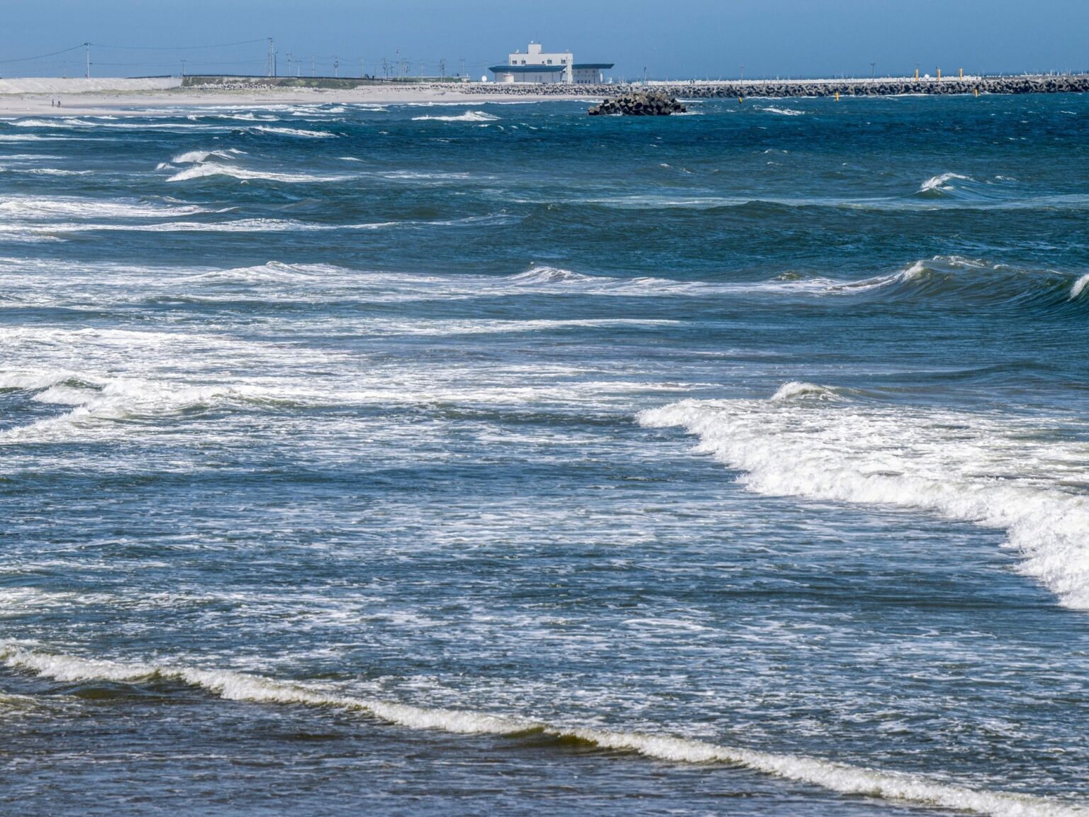 Shusaku Sugimoto, investigador de la Universidad de Tohoku: “Que el mar subiera 6°C y se mantuviera así dos años no se había visto” | FM Avenida