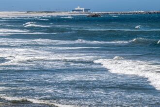 Shusaku Sugimoto, investigador de la Universidad de Tohoku: “Que el mar subiera 6°C y se mantuviera así dos años no se había visto” | FM Avenida