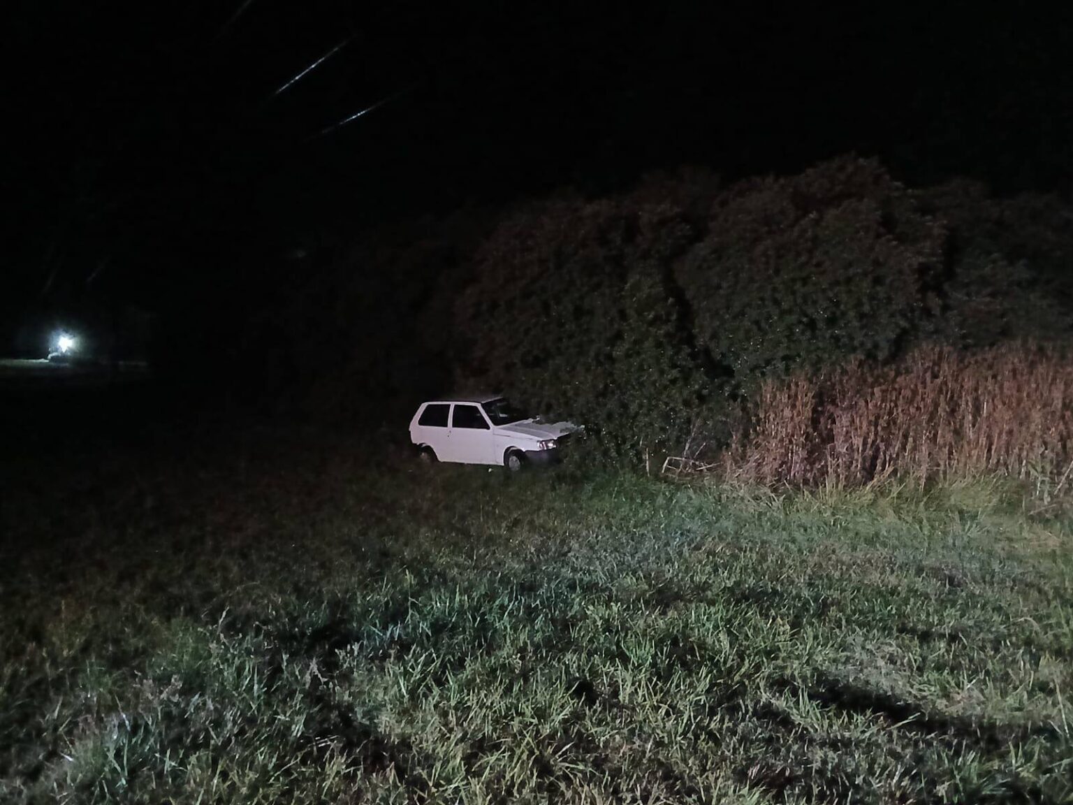 Tragedia en Ruta 88: intentó esquivar un carpincho, sufrió un accidente fatal y es el segundo caso similar en 5 días | FM Avenida