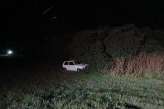 Tragedia en Ruta 88: intentó esquivar un carpincho, sufrió un accidente fatal y es el segundo caso similar en 5 días | FM Avenida