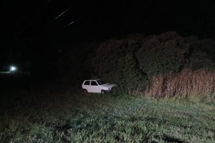 Tragedia en Ruta 88: intentó esquivar un carpincho, sufrió un accidente fatal y es el segundo caso similar en 5 días | FM Avenida