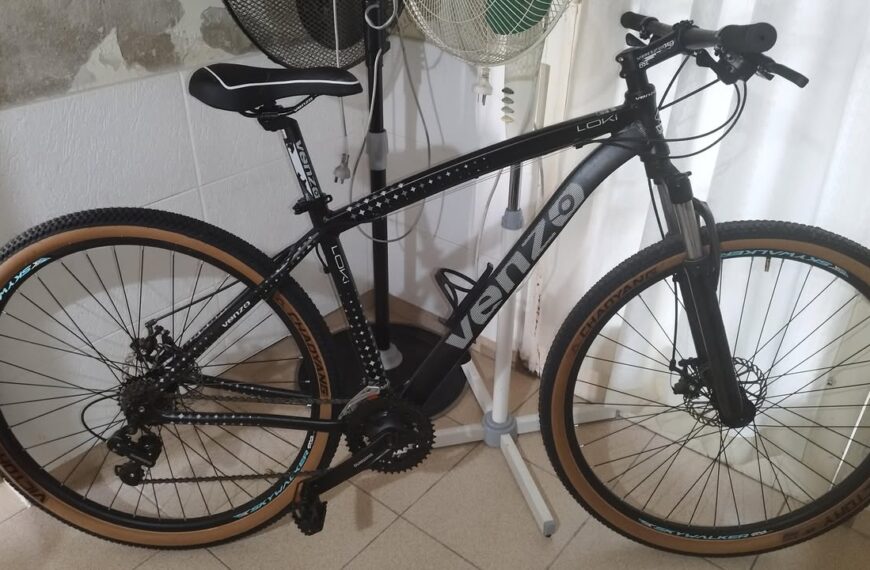 Delincuentes robaron una bicicleta en calle San Martín: "Estaba con dos candados"