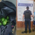 Robó una bolsa de limones y fue aprehendido