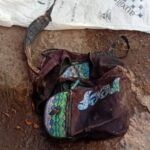 Río Tala: cortaron el alambre para entrar y se llevaron los pollos del criadero