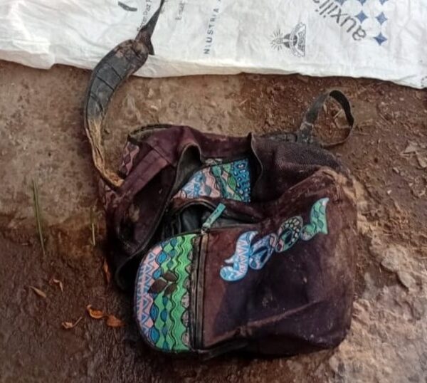 Río Tala: cortaron el alambre para entrar y se llevaron los pollos del criadero