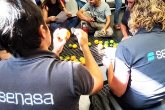 Abren la inscripción para el curso de inspector de empaque de fruta cítrica | FM Avenida