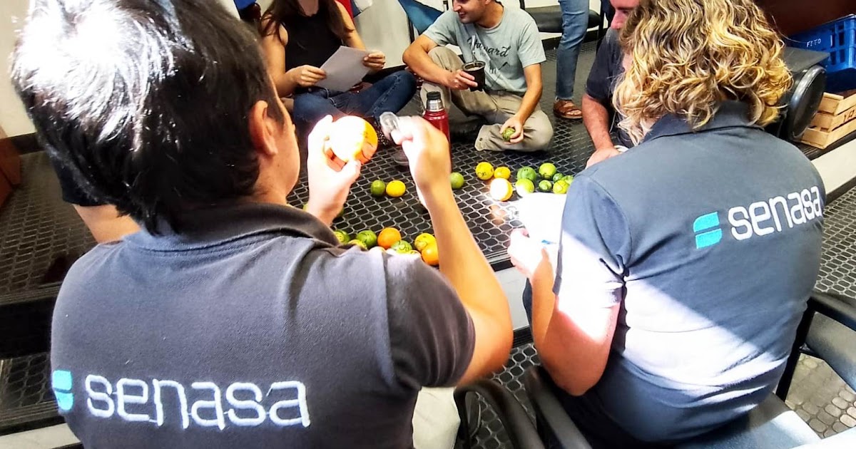 Abren la inscripción para el curso de inspector de empaque de fruta cítrica | FM Avenida