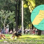 Alerta para San Pedro: se espera calor, humedad, lluvias y elevada sensación térmica en la semana | FM Avenida