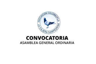 Convocatoria a Asamblea General Ordinaria de Asociación Colombófila La Viajera Sampedrina | FM Avenida