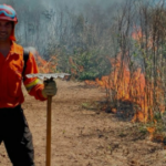El bombero Sergio Novo participó de un taller especializado en la lucha contra el fuego en el Paraná | FM Avenida