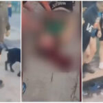 Explosiones en un depósito de garrafas en Merlo: quiénes son los heridos, incluido un nene con fractura de cráneo | FM Avenida