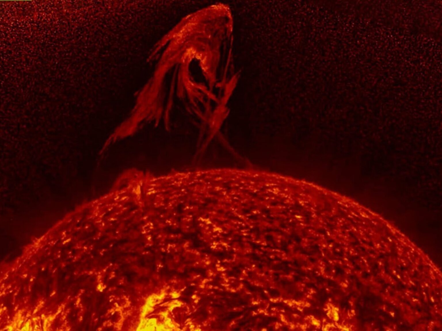 Filmaron una llamarada en el Sol que alcanzó una altura de 1.000.000 de kilómetros | FM Avenida