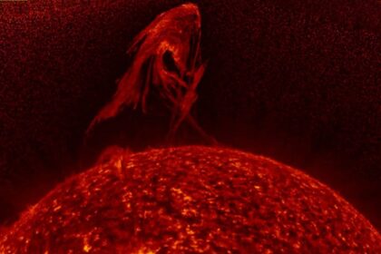 Filmaron una llamarada en el Sol que alcanzó una altura de 1.000.000 de kilómetros | FM Avenida