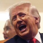 Frustrado porque no lo ayudan en la guerra, Donald Trump llama "cobardes" a los países de la OTAN | FM Avenida