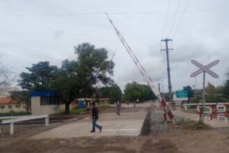 Habilitaron el tránsito vehicular por el paso a nivel de Ruta 191 | FM Avenida