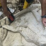 Hallan en Italia una tumba romana del año 0 con escenas de gladiadores | FM Avenida