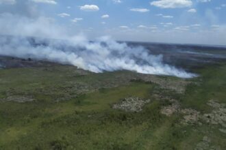 Incendio en islas: más de 530 focos en los dos primeros meses de 2026 | FM Avenida