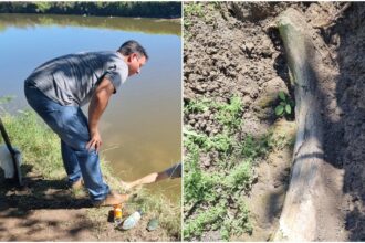 Increíble hallazgo en Rojas: pescaba en el río y terminó encontrando un fósil de más de 10 mil años | FM Avenida