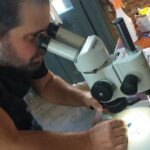 Investigadores de la UNR visitaron el Museo Paleontológico para estudiar un quirquincho fósil único por su tamaño | FM Avenida