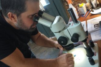 Investigadores de la UNR visitaron el Museo Paleontológico para estudiar un quirquincho fósil único por su tamaño | FM Avenida