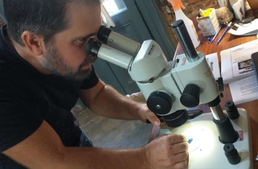 Investigadores de la UNR visitaron el Museo Paleontológico para estudiar un quirquincho fósil único por su tamaño | FM Avenida